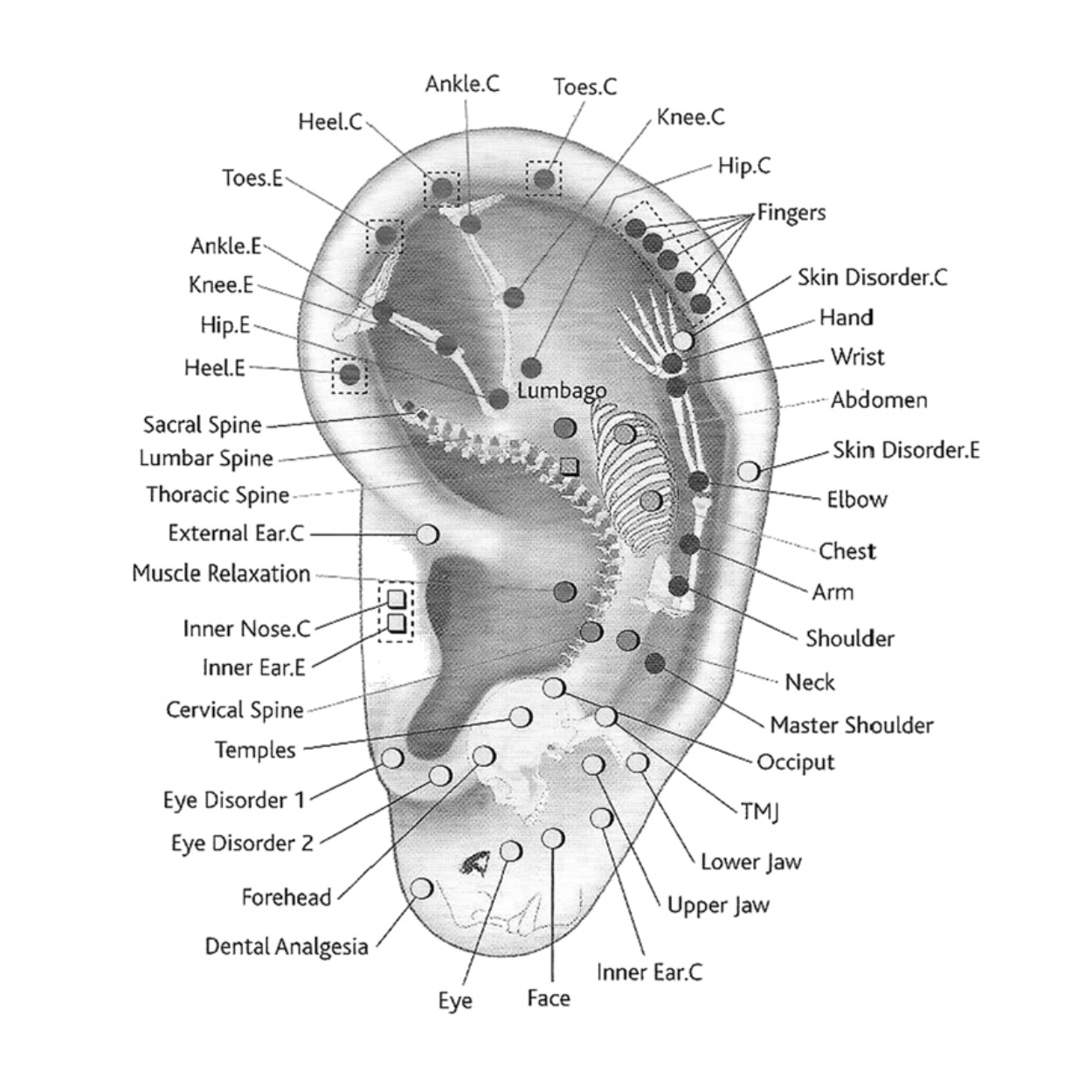 k-start-course-image